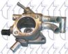 TRICLO 468950 Thermostat Housing